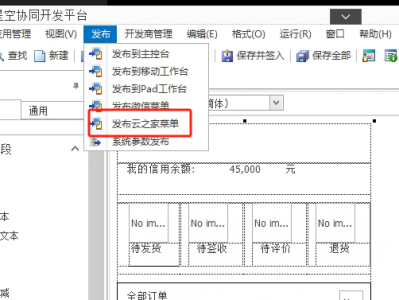 金蝶云星空企业版8.1，集成开发平台开发的移动表单，如何通过“发布到云之家菜单”发布到云之家？