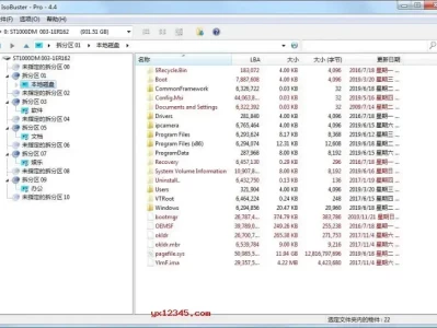 IsoBuster中文绿色版