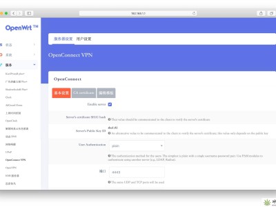 OpenWRT 路由器 OpenConnect VPN 详细图文教程 – 基础配置篇