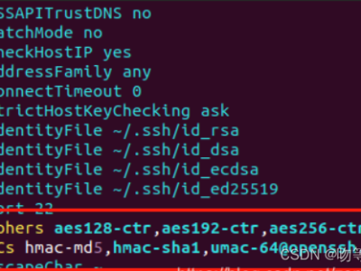 软件使用【SecureCRT】 SSH连接ESXI 报错Key exchange failed