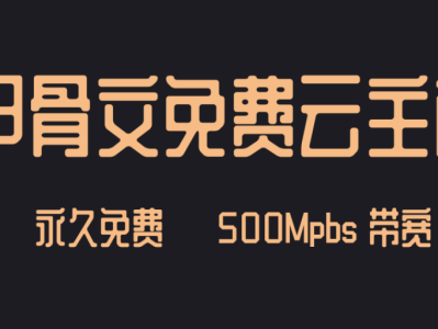 永久免费甲骨文VPS云主机,Always free,500Mpbs带宽,长期免费云主机