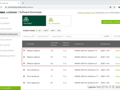 VMware vSphere 下 NVIDIA vGPU 驱动的安装和配置