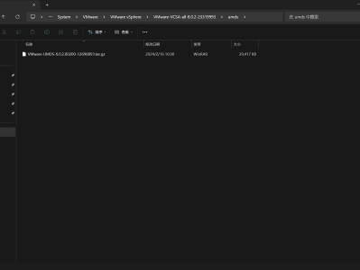 安装配置Update Manager Download Service（UMDS）作为 vLCM 的下载存储库。