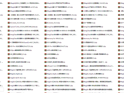 刷机党福音，收集全网304个Magisk模块大合集