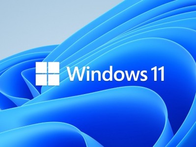 Windows 11 Enterprise LTSC DD 镜像