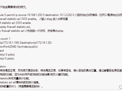 IPsec VPN 主备链路备份及流统