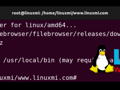 Linux 奇技：跨平台时尚的 Web 文件管理器 