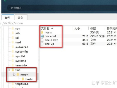 tinc vpn内网穿透，远程访问家里的网络或服务