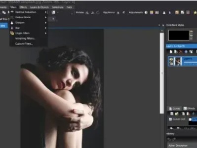 电脑软件：推荐一款非常好用的图片编辑软件——Photo Pos Pro