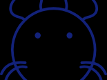 wordpress 胖鼠 创建一个列表采集规则教程